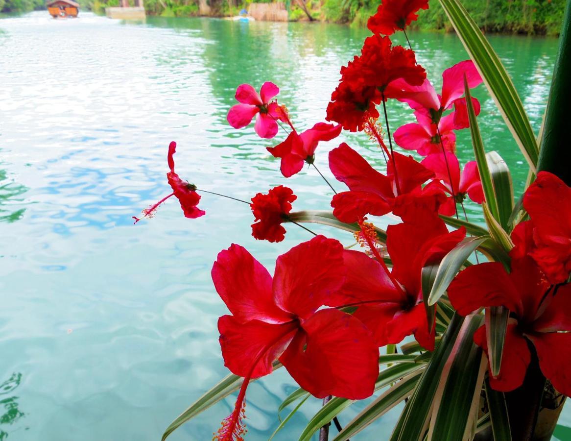 Chiisai Natsu Resort Bohol Eksteriør bilde