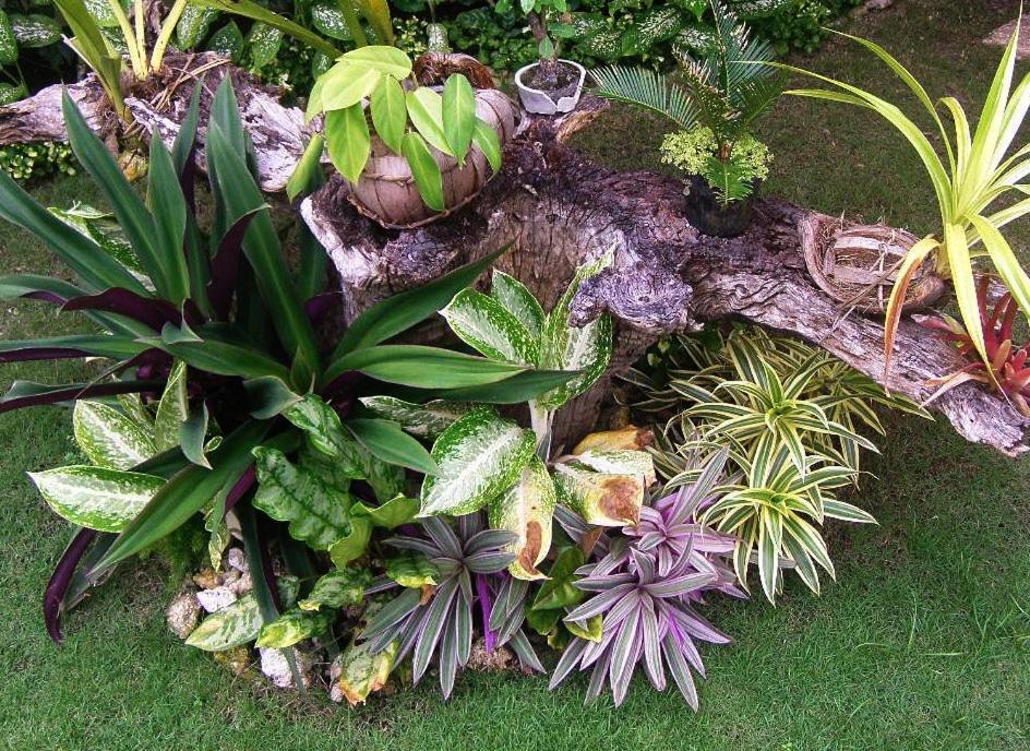 Chiisai Natsu Resort Bohol Eksteriør bilde