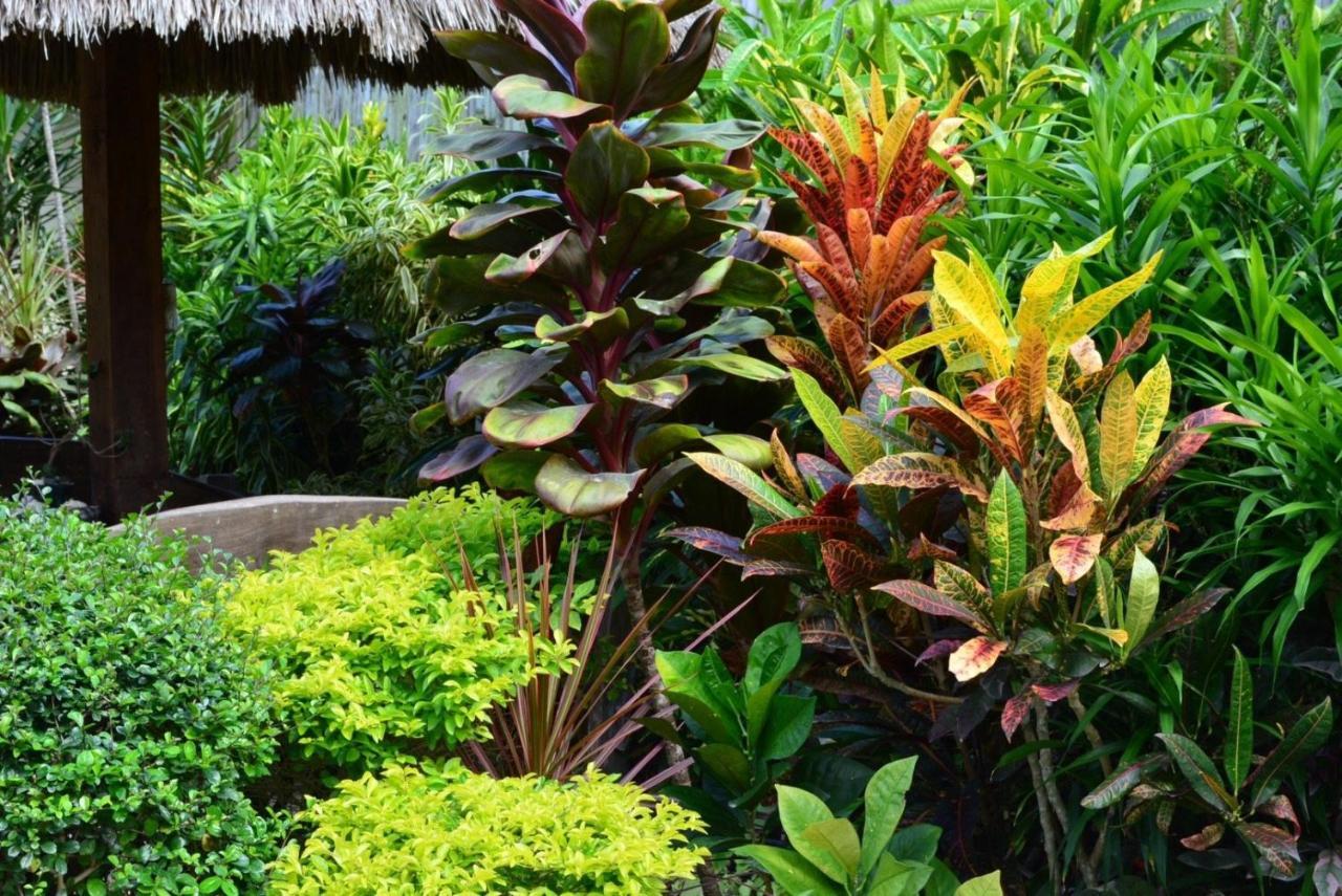 Chiisai Natsu Resort Bohol Eksteriør bilde